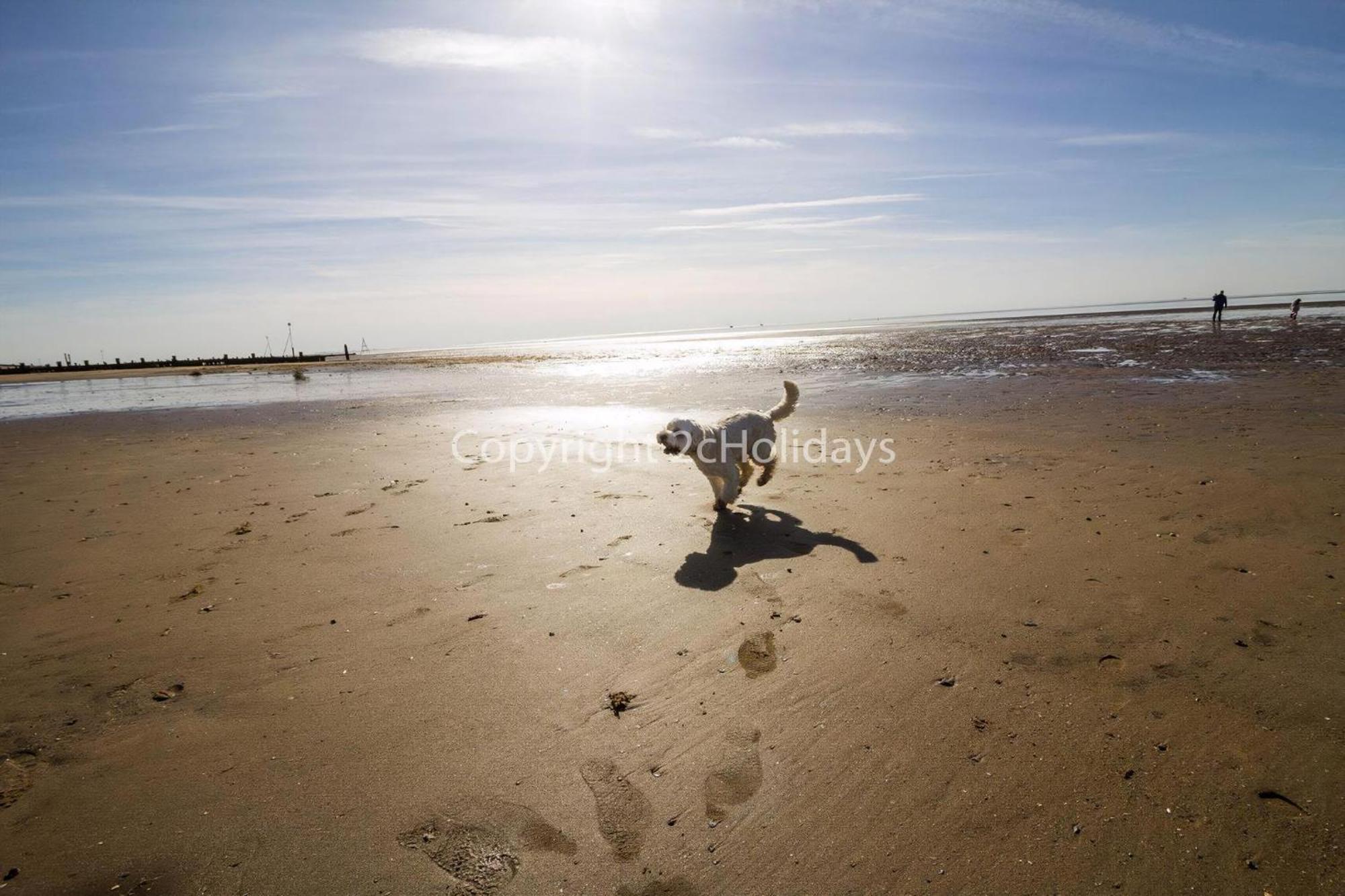 Wheelchair Friendly Caravan For Hire Norfolk Near The Ref 13016l Campingplatz